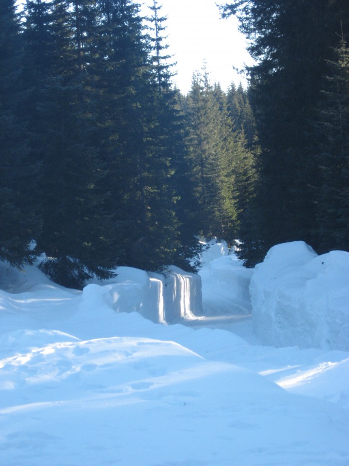 Gozdna cesta nad planino Zajavornik je videti kot bob steza
(prevozna, je bilo parkiranih