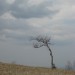 Jurišče-Kršičevec-5.4.2009