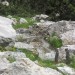 Vas na skali-Čisti vrh-19.7.2009