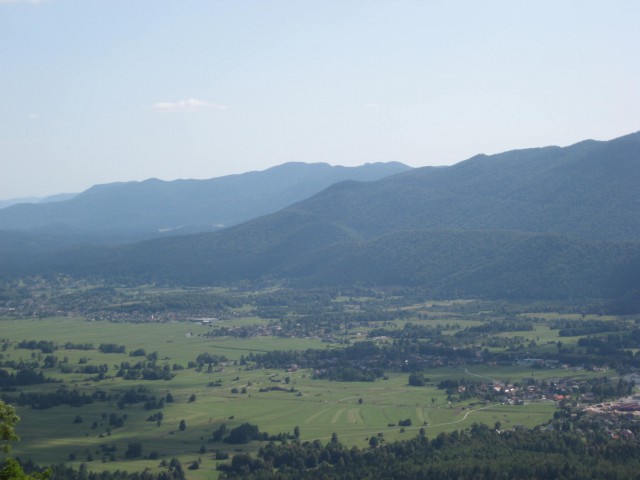 Ribniško polje