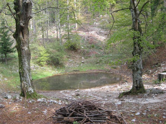 Jezerce v gozdu za Gradiško turo