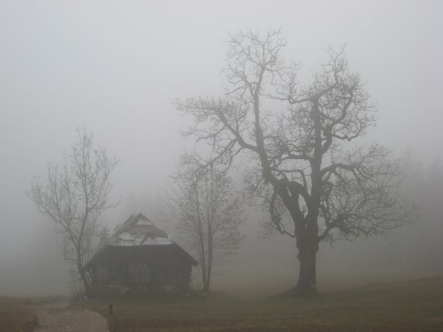 Jutro na Rogarjevem rovtu