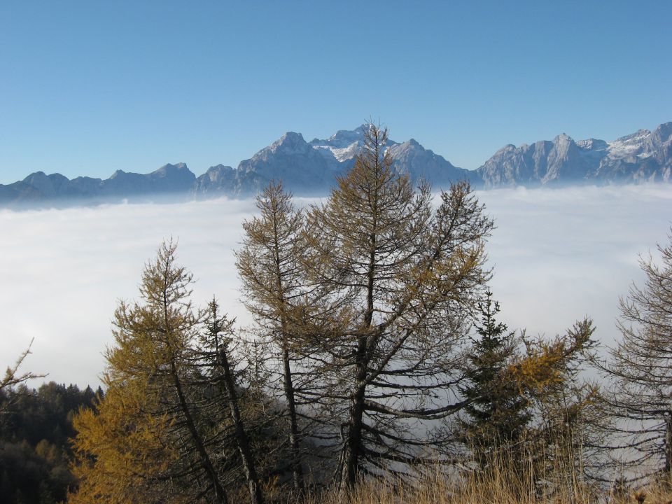 Sva že tik pod Hruškim vrhom: macesni in Triglav