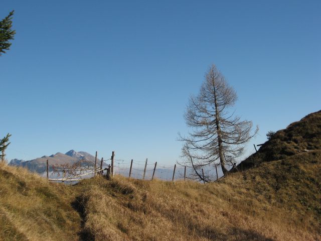 Z Dovške Rožce sva zaokrožili na greben Črničja, ki mi je zelo prirastel k srcu