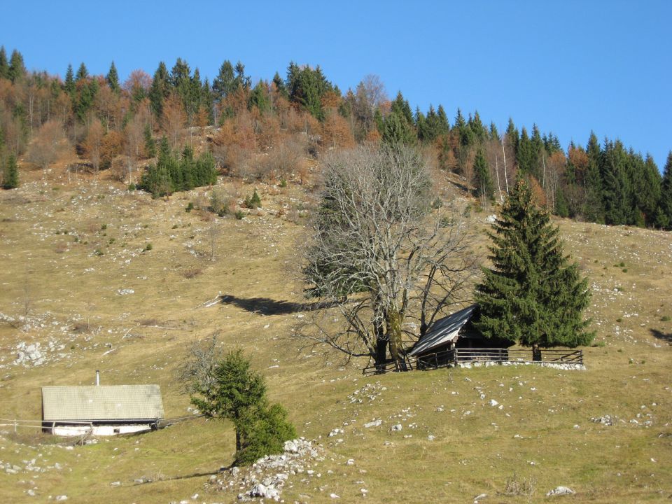 Najlepše lokacije so tik pod vrhom Galetovca