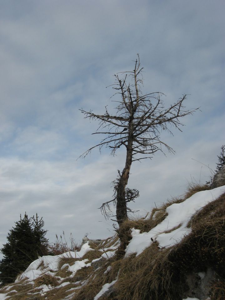 Viharnik pod vrhom Dravha