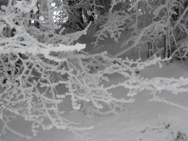 Praprotno-Križna gora-Planica-8.2.2010 - foto