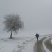 Baragova pot (del) - 21.2.2010