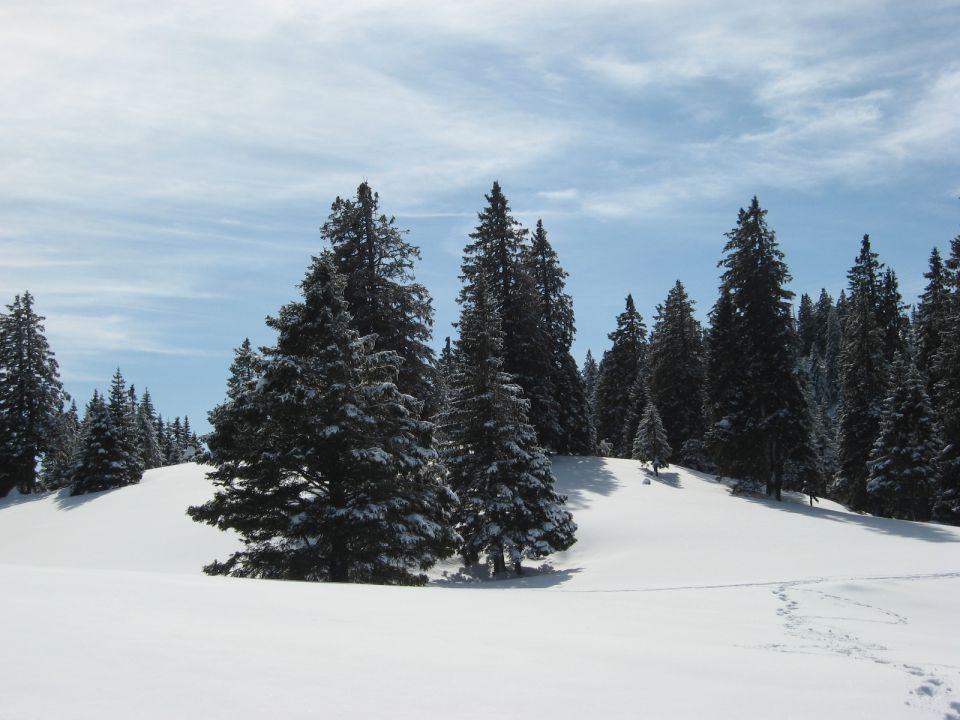 Zimska razglednica IV.