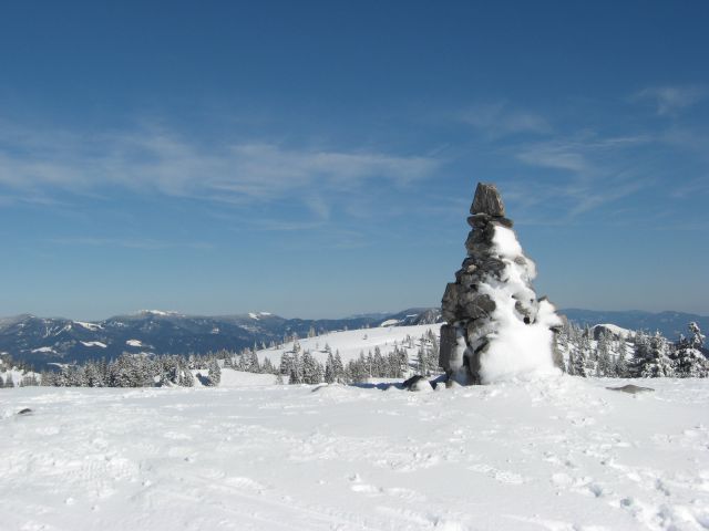 Vrh nad Domžalskim domom (Bukovnik?)