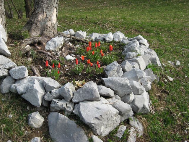 Preprosto in lepo