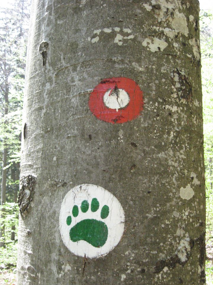 Markacija in medvedova tačka-oznaka za Roško pešpot