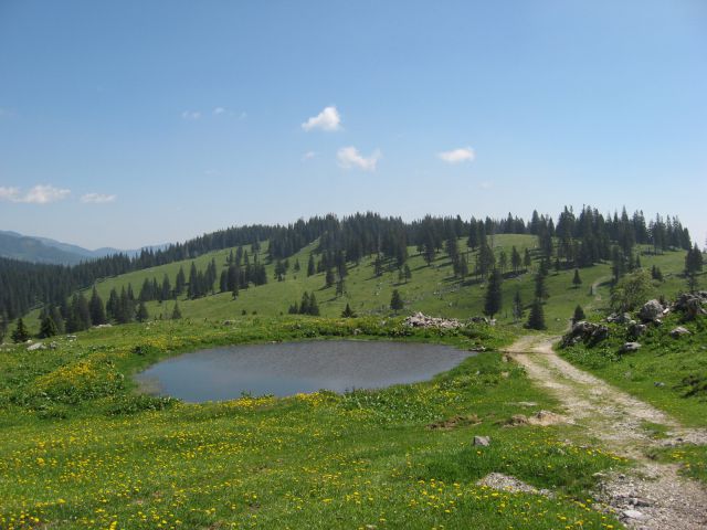 Pogled nazaj