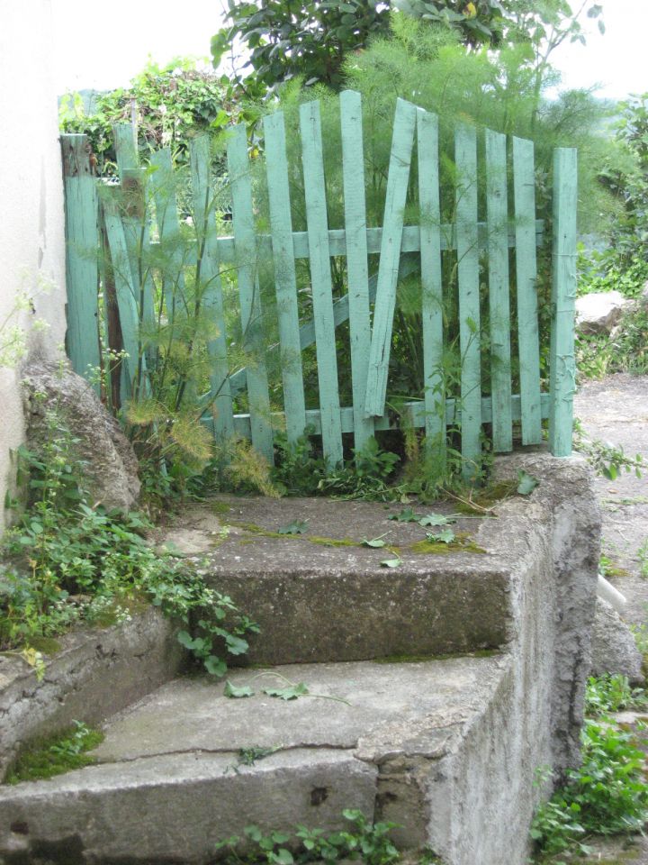 Ograja na zapuščenem vrtu
