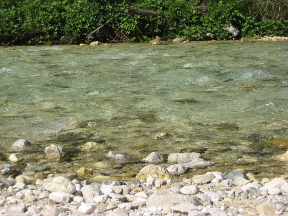 Mangrtska planina, Zelenci - 27.6.2010 - foto povečava