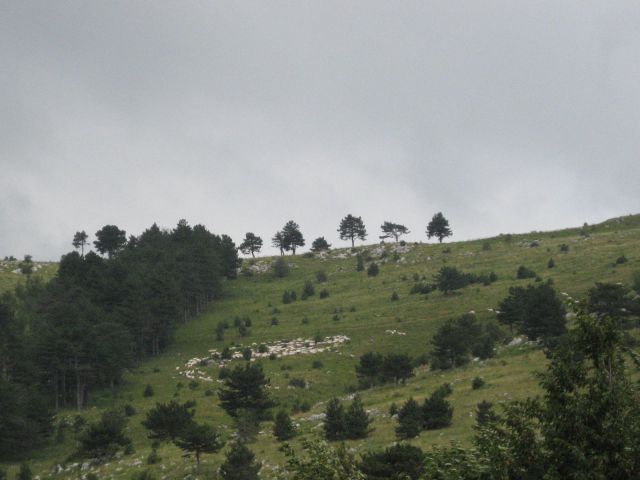 Proti notranjosti pa deževni oblaki (sredi pobočja čreda ovac)