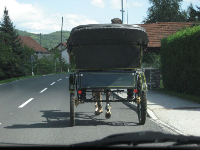 Zanimivo srečanje na cesti