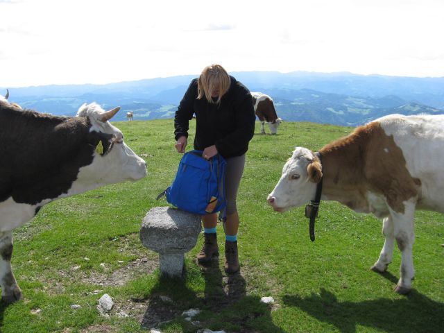 Poberemo svoje reči in bežimo navzdol...