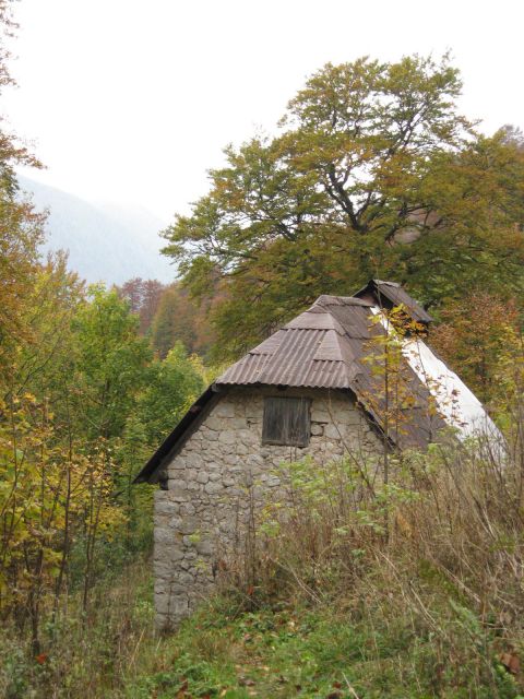 Spet nazaj na planini Slatenik