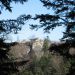 Ruševine Fridrištajna pa prvič vidim s te perspektive (pot s Požganega hriba)
