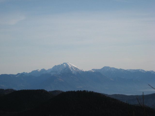 Goreljek - Javorov vrh-16.1.2011 - foto