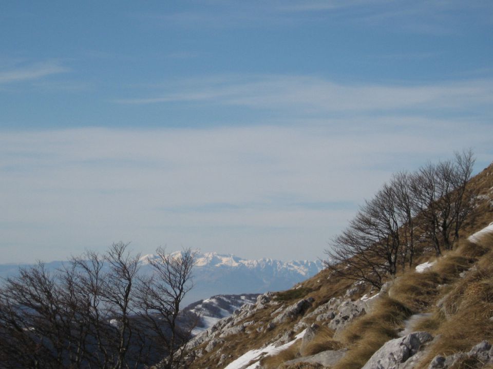 Pogled proti Dolomitom