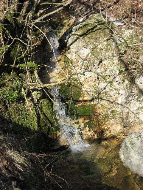 Eden od tolmunov na potoku, ki teče skozi Trebišće