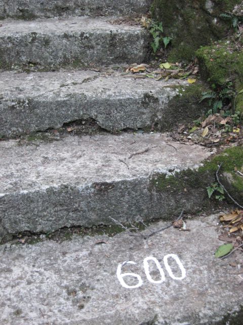 600-ta od 750 stopnic, ki vodijo iz Moščenice v Moščenićko Drago
