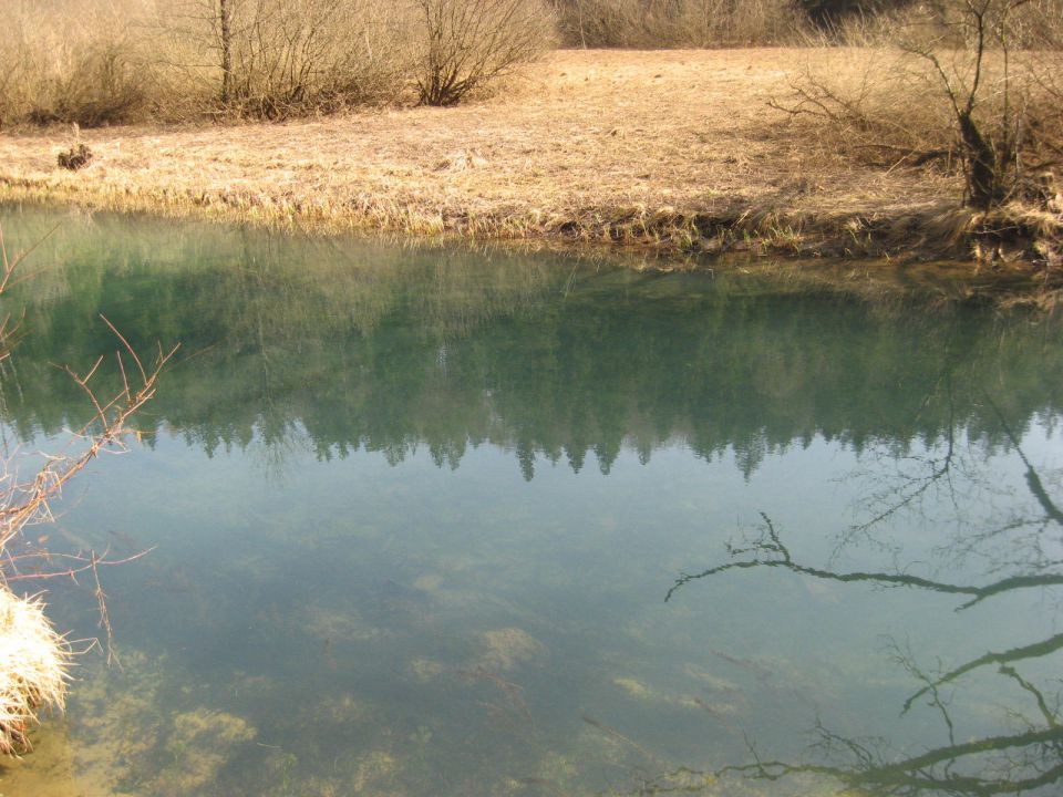 Reka Ribnica, Zadolje-26.3.2011 - foto povečava