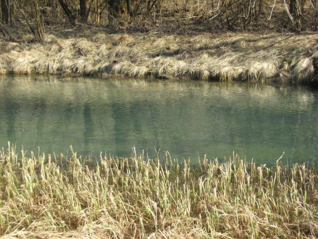 Reka Ribnica, Zadolje-26.3.2011 - foto