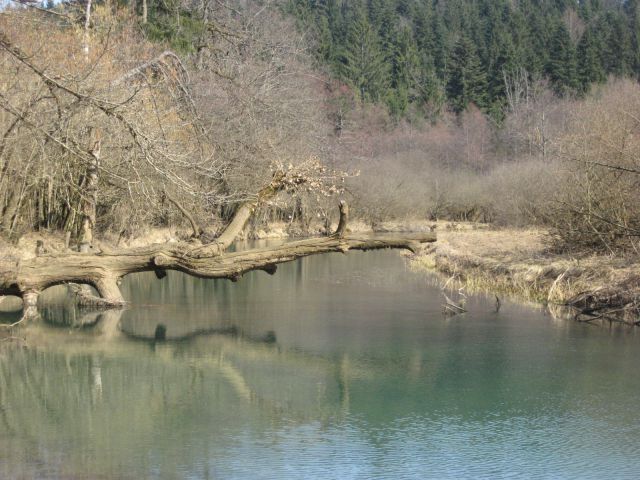 Reka Ribnica, Zadolje-26.3.2011 - foto