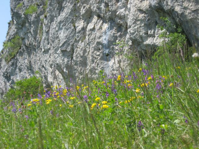 Zazid-Kojnik-Golič-Kavčič_7.5.2011 - foto