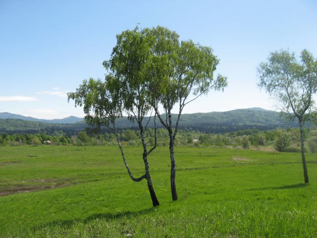 Okoli Kočevskega jezera - 8.5.2011 - foto