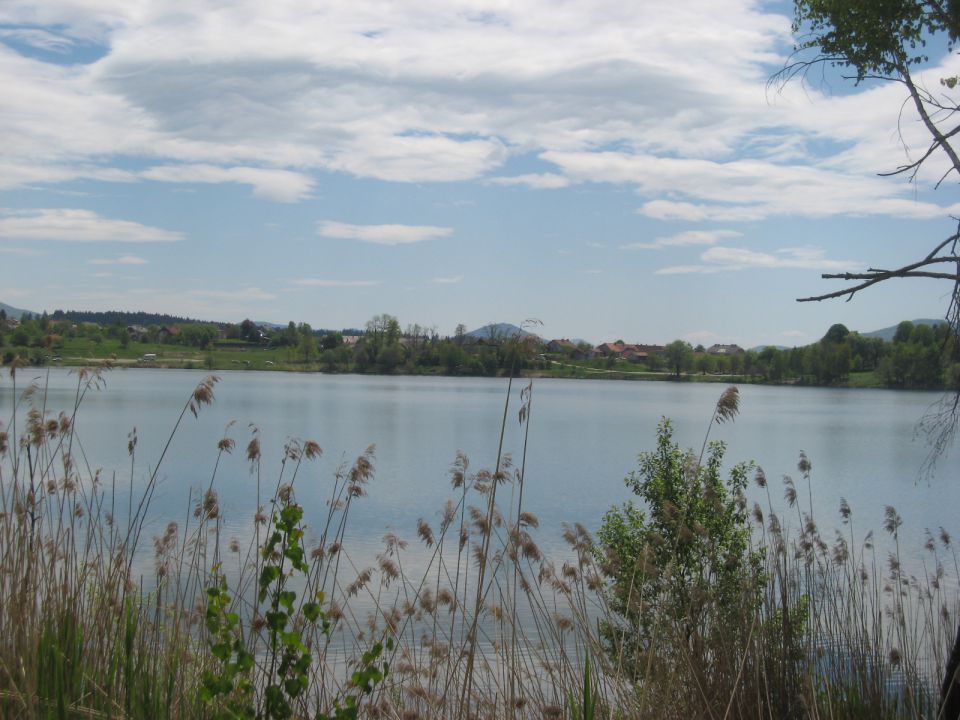 Okoli Kočevskega jezera - 8.5.2011 - foto povečava