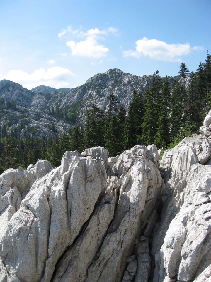 NP Severni Velebit-12.6.2011 - foto povečava