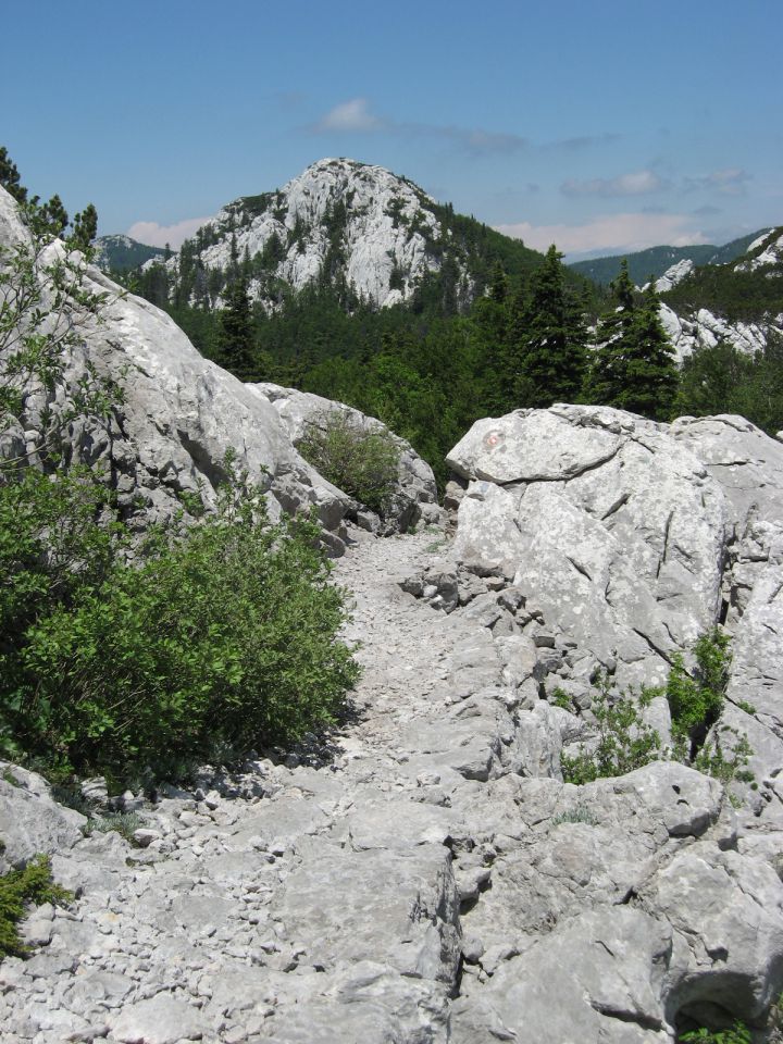 NP Severni Velebit-12.6.2011 - foto povečava