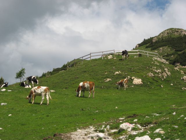 Srečanje pod sedlom