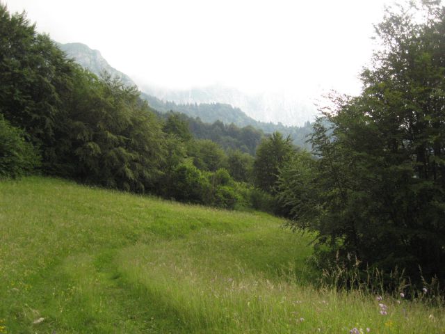 Planina Zaprikraj-greben_17.6.2011 - foto