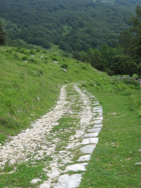 Tlakovan začetek poti k slapu Curk