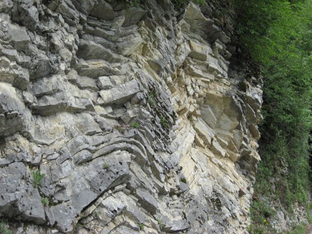 Geološke plasti