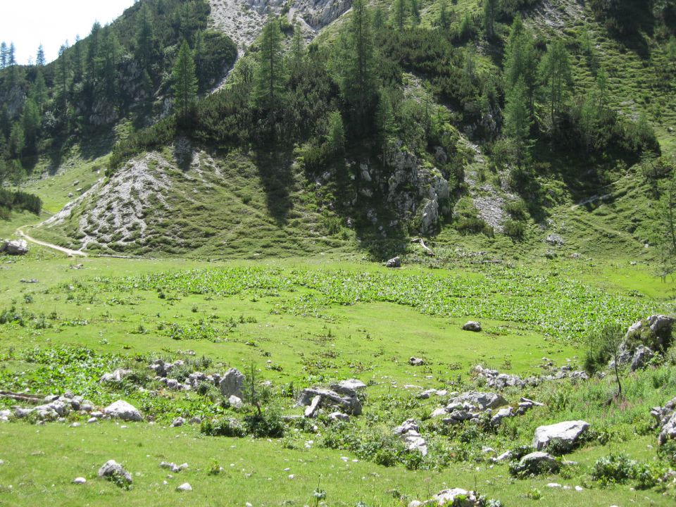 zapuščena planina Jezerce