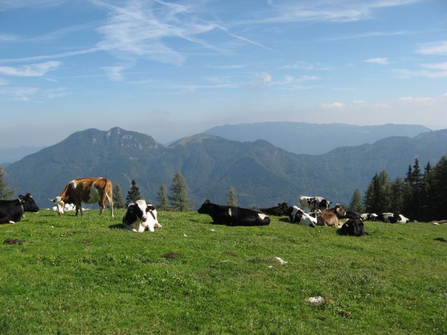 Podvežak-Mala Ojstrica-11.9.2011 - foto