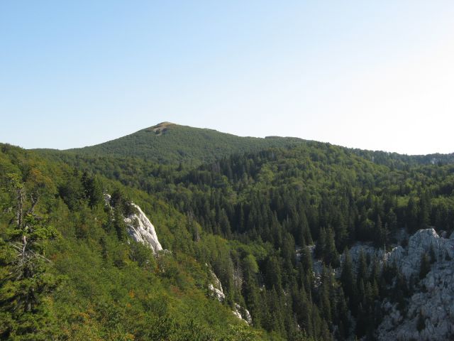 Pokrajina je zelo raznolika, goznata...