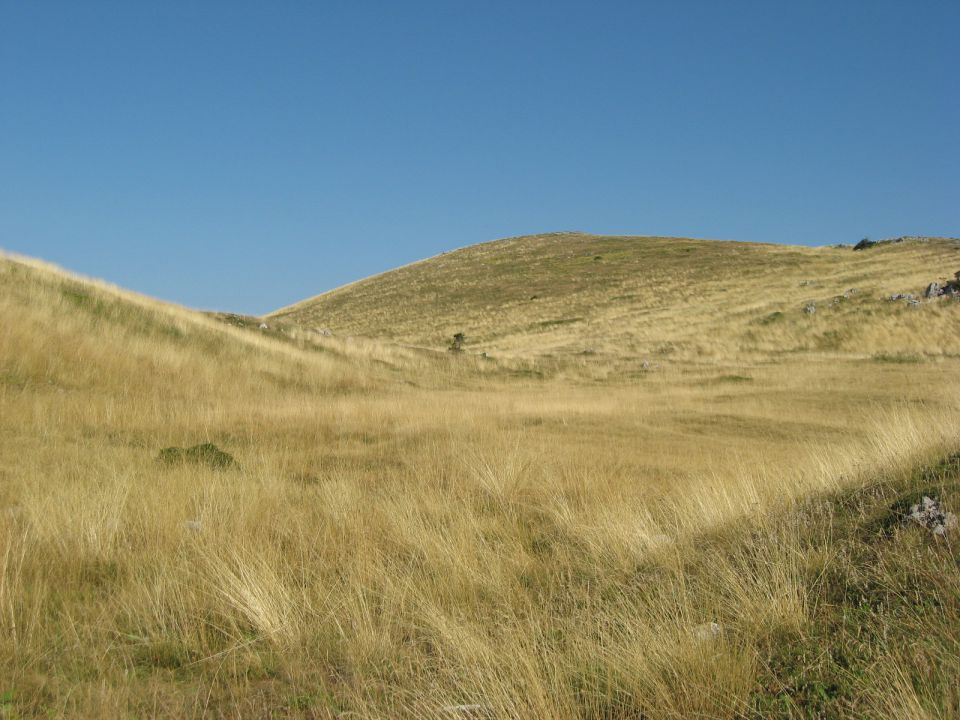 Alan-Rossijevo zavetišče-15.9.2011 - foto povečava