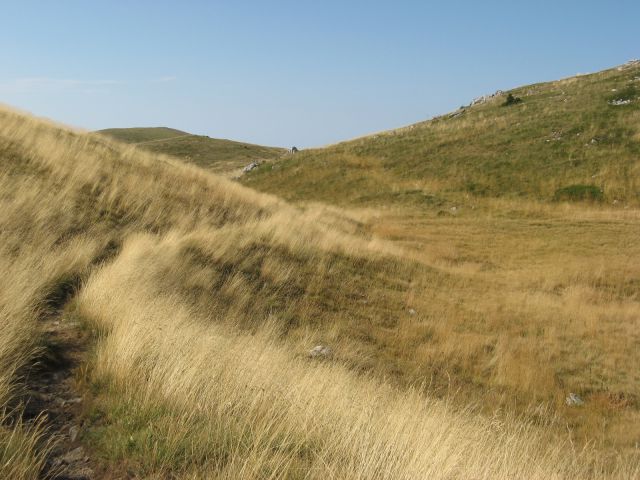 Alan-Rossijevo zavetišče-15.9.2011 - foto