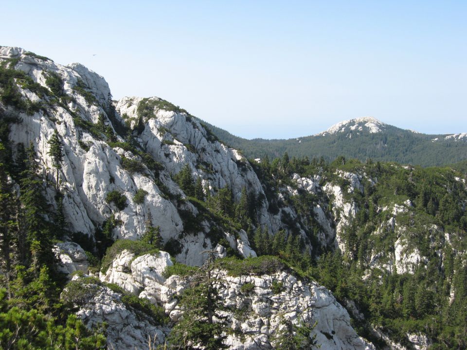 tu sva že blizu rožanskih kukova v divjem skalnem svetu