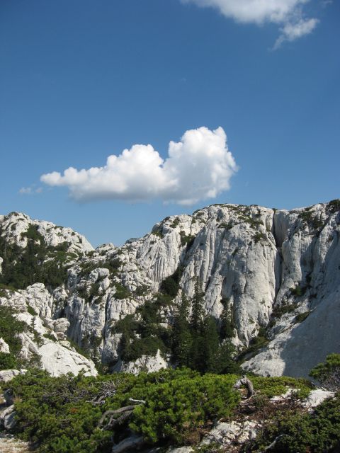 Alan-Rossijevo zavetišče-15.9.2011 - foto