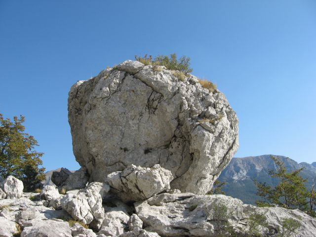 Zanimiva skalna goba