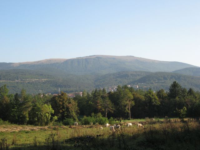 Spremlja nas pogled na vremščico