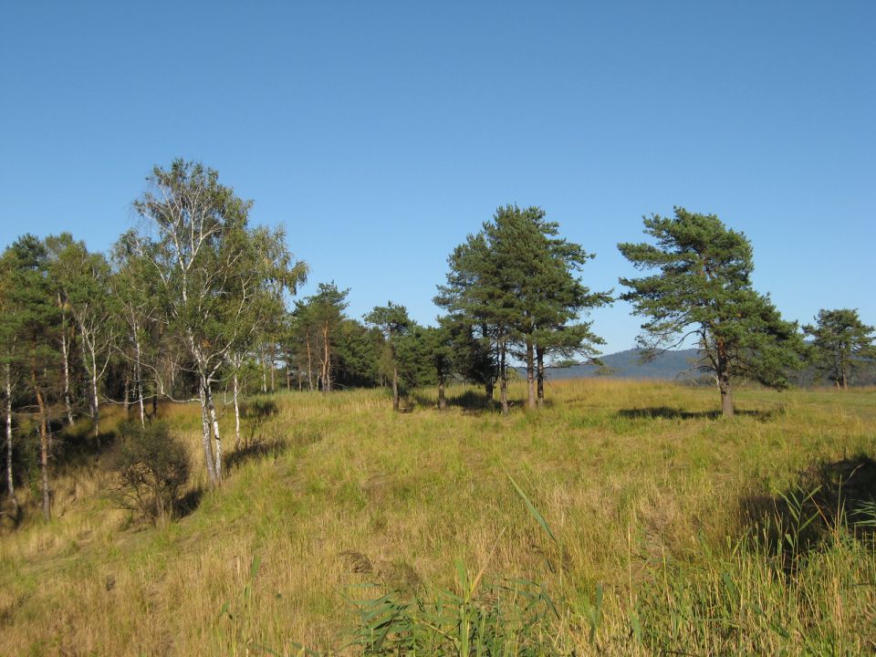 Kočevsko jezero-2.10.2011 - foto povečava